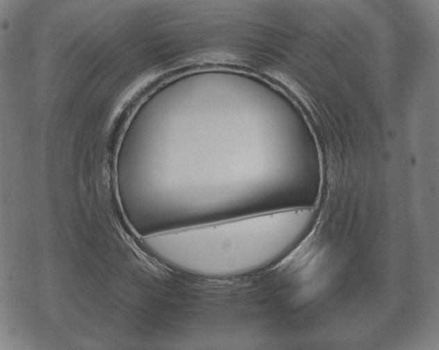 X0000072551115200607141004
