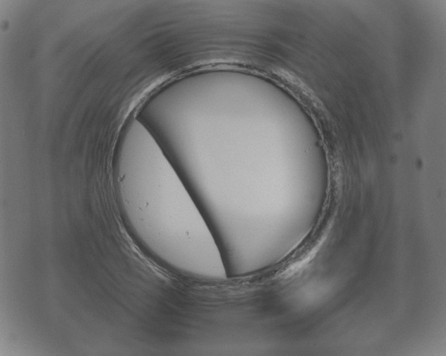X0000072551121200607141004