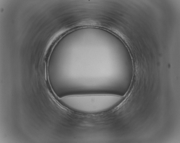 X0000072551123200607141004