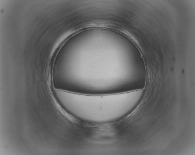 X0000072551131200607141005