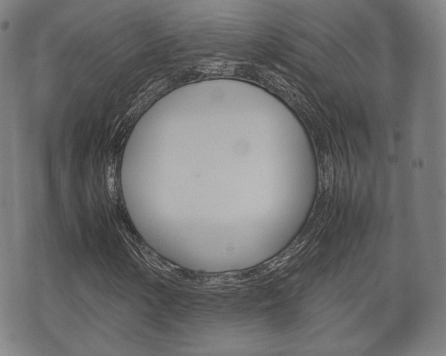 X0000072551154200607141004