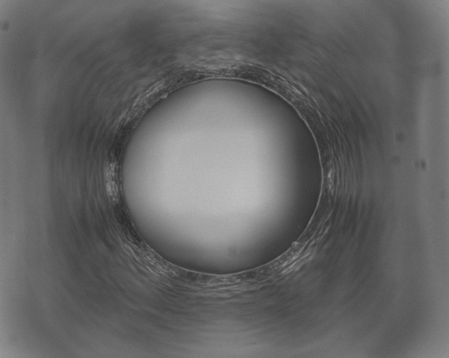 X0000072551156200607141004