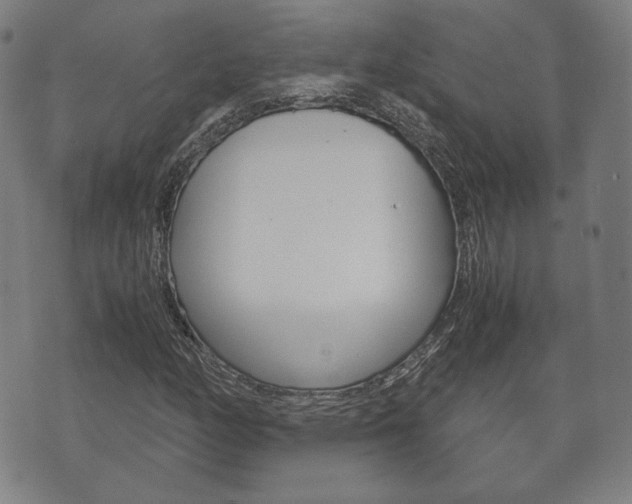 X0000072551158200607141004