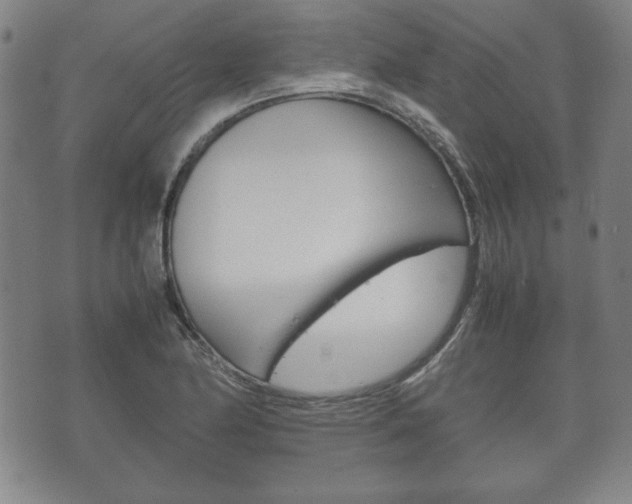 X0000072551174200607141004