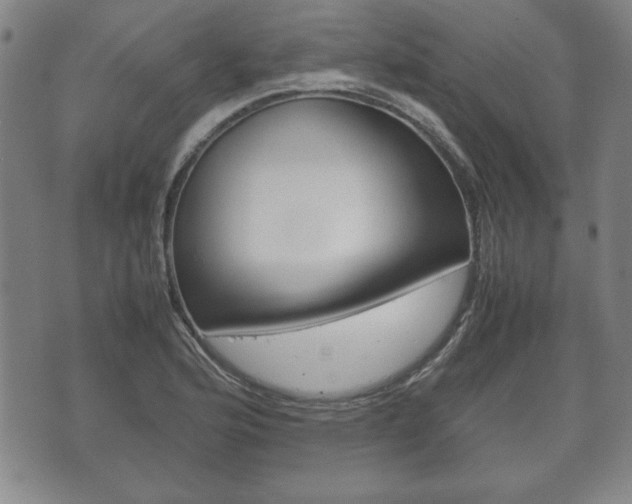 X0000072551176200607141004