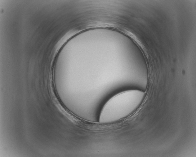 X0000072551187200607141004