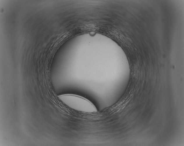 X0000072551201200607141003