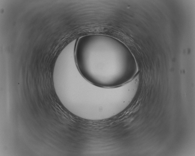 X0000072551202200607141003