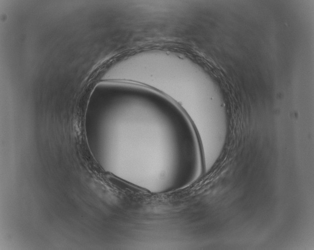 X0000072551206200607141003
