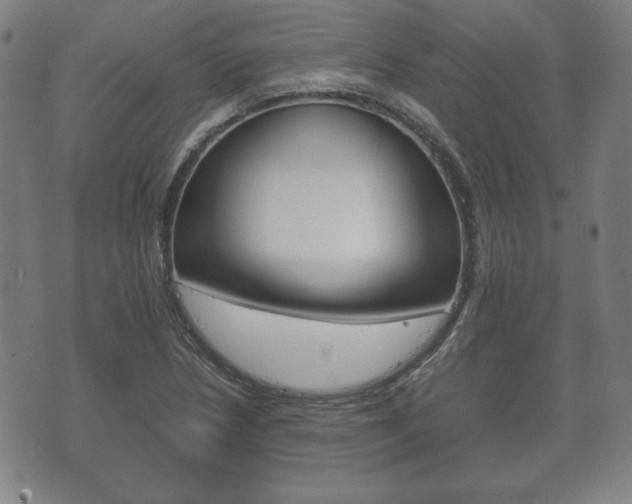 X0000072551218200607141003