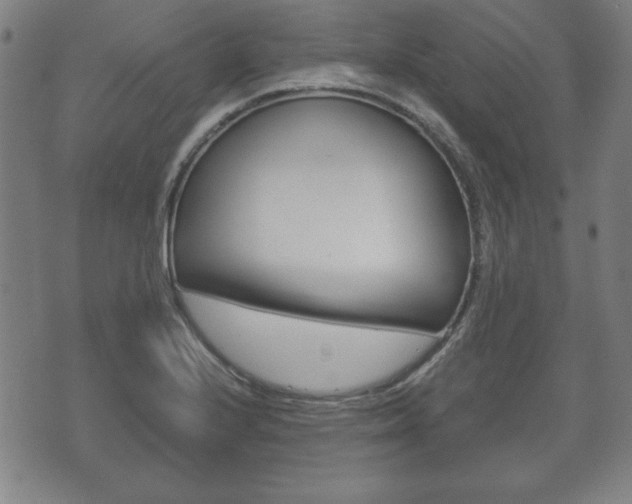 X0000072551224200607141003