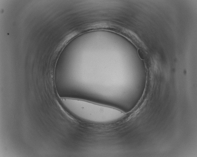 X0000072551225200607141003