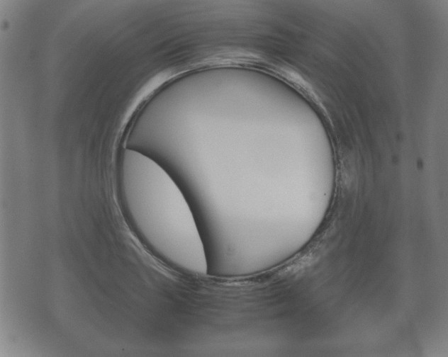 X0000072551227200607141003