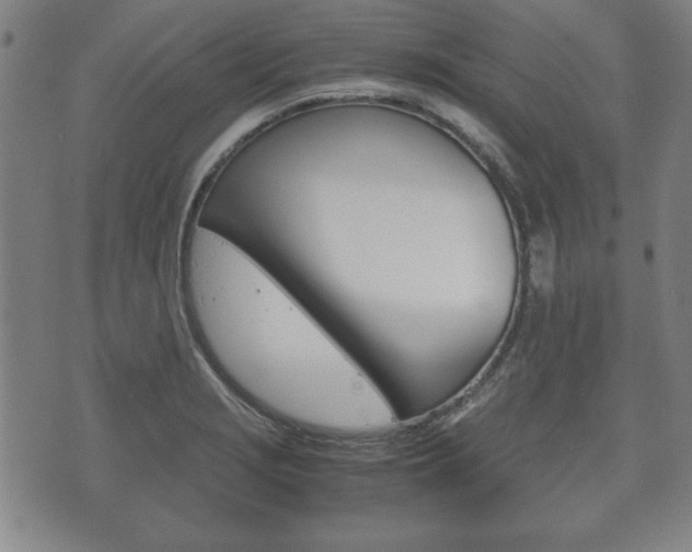 X0000072551229200607141003
