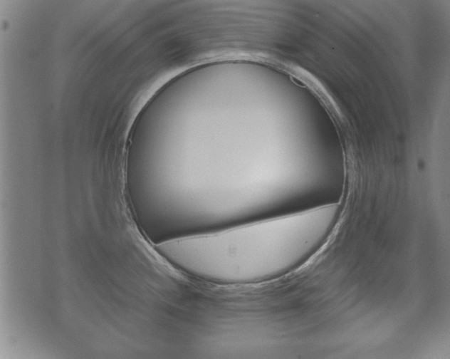 X0000072551244200607141003