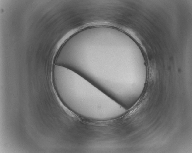 X0000072551245200607141003