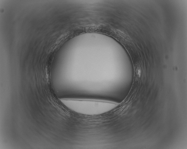 X0000072551252200607141003