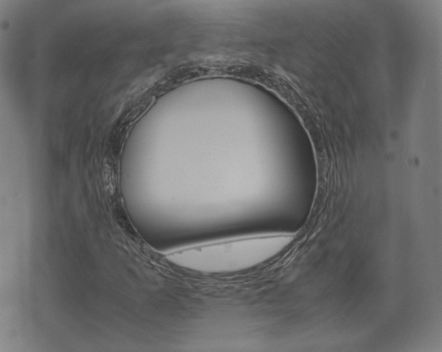 X0000072551253200607141003