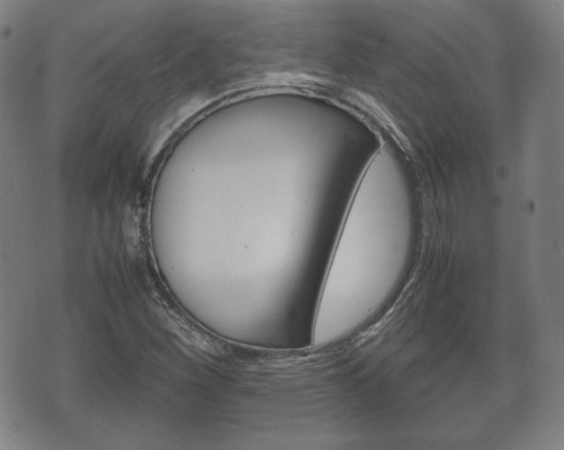 X0000072551260200607141002
