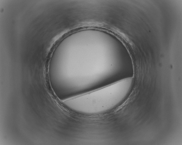 X0000072551264200607141002