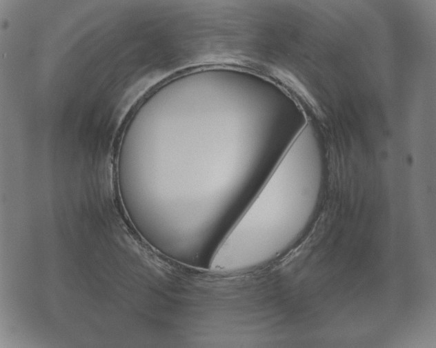 X0000072551268200607141002