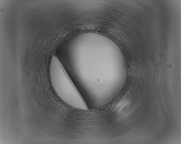 X0000072551297200607141001