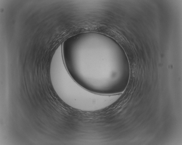 X0000072551298200607141001