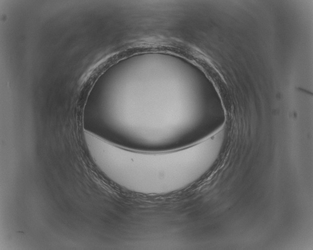 X0000072551304200607141001