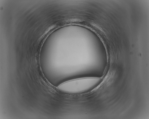 X0000072551305200607141001