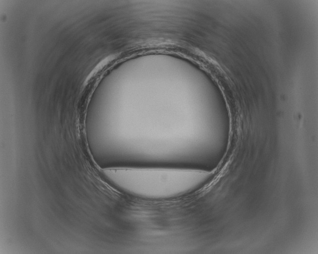 X0000072551306200607141001