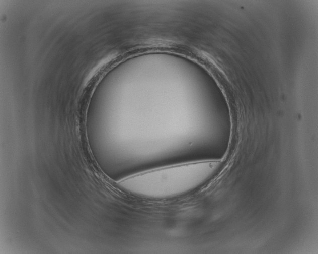 X0000072551307200607141001