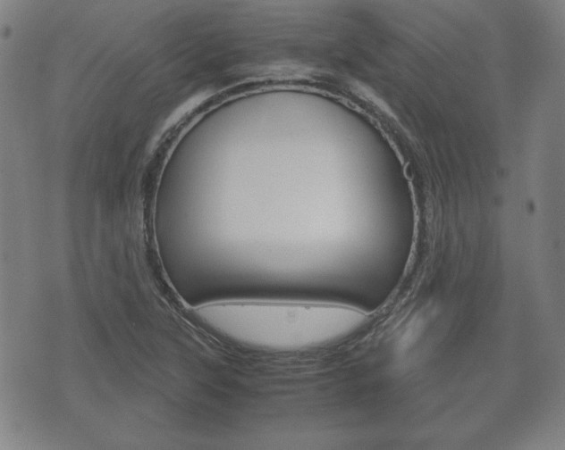 X0000072551315200607141001