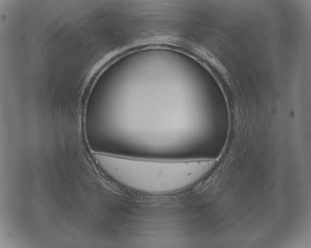 X0000072551316200607141001
