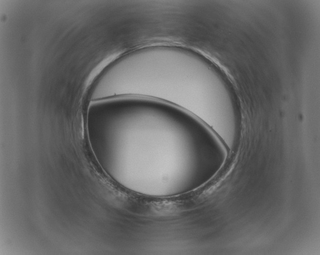 X0000072551317200607141001