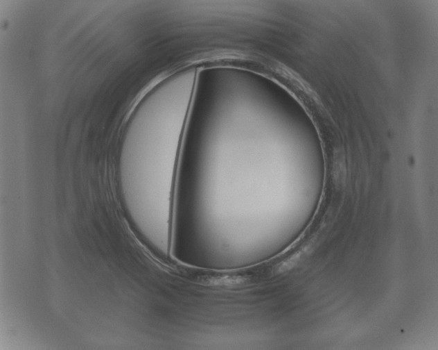 X0000072551321200607141001