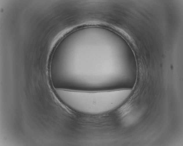 X0000072551327200607141002