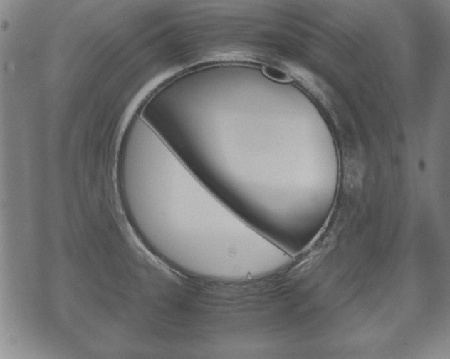X0000072551331200607141002