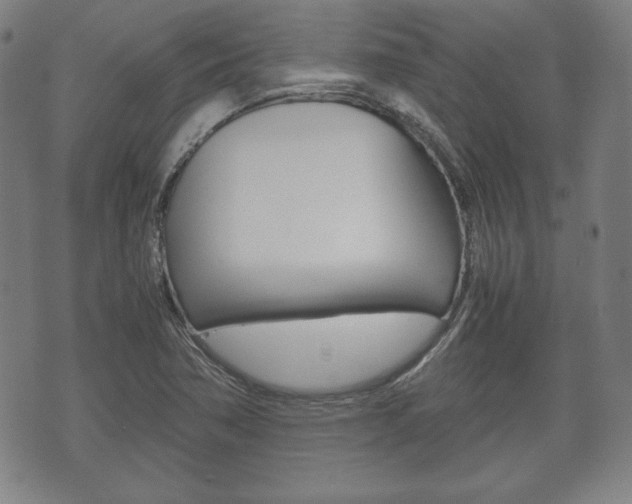 X0000072551362200607141001