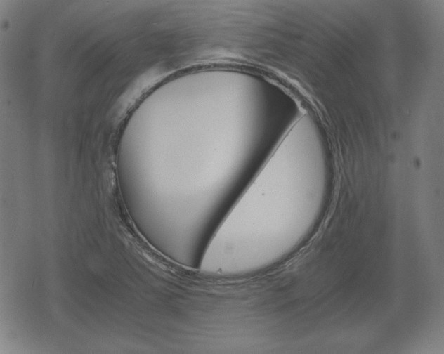 X0000072551363200607141001