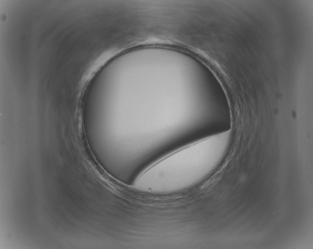X0000072551367200607141001