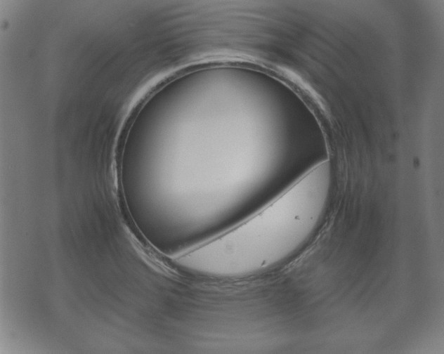 X0000072551372200607141001