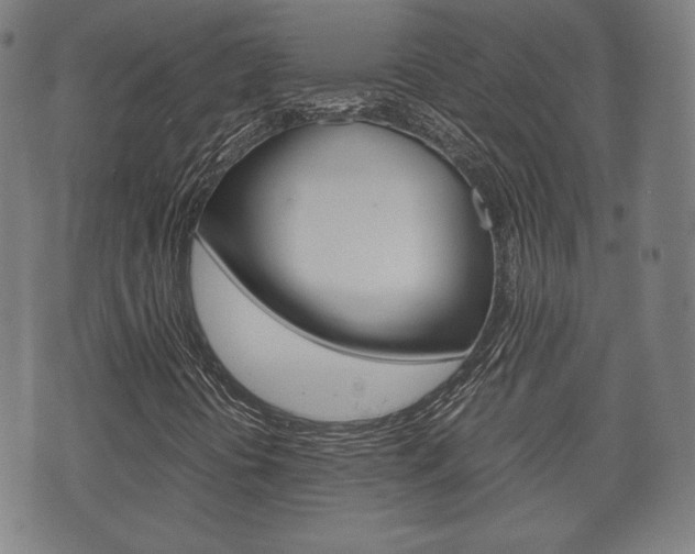 X0000072551394200607141000