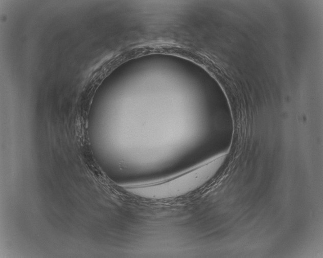 X0000072551398200607141000