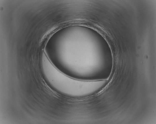 X0000072551402200607141000