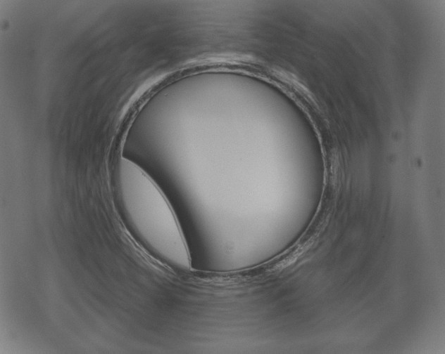 X0000072551404200607141000