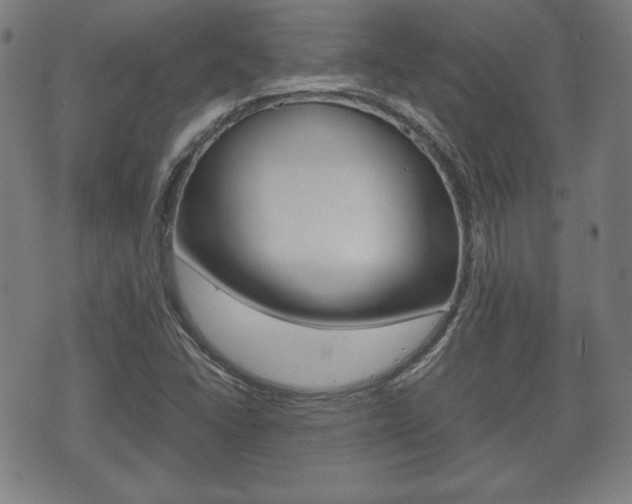 X0000072551406200607141000