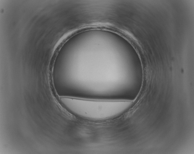 X0000072551412200607141000