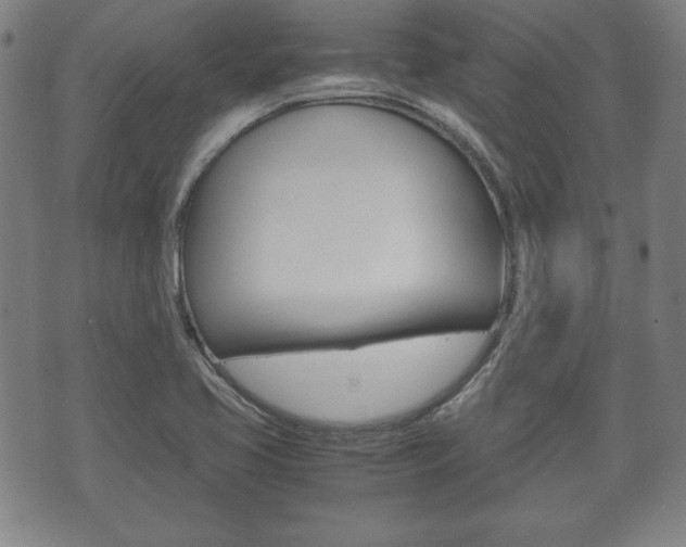 X0000072551413200607141000