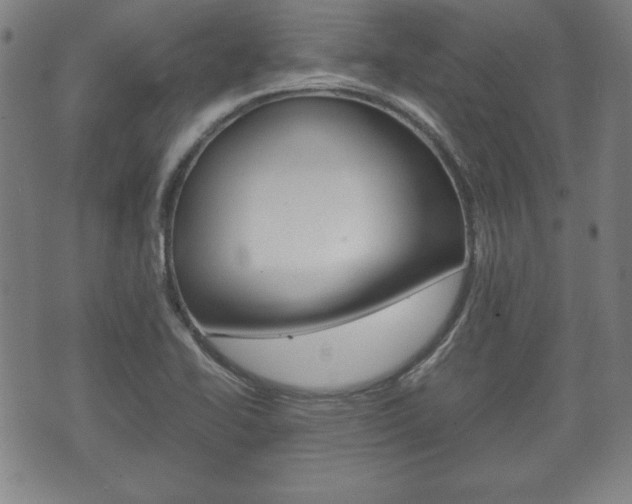 X0000072551414200607141000
