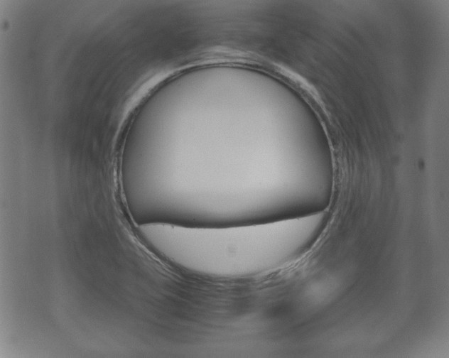 X0000072551415200607141000